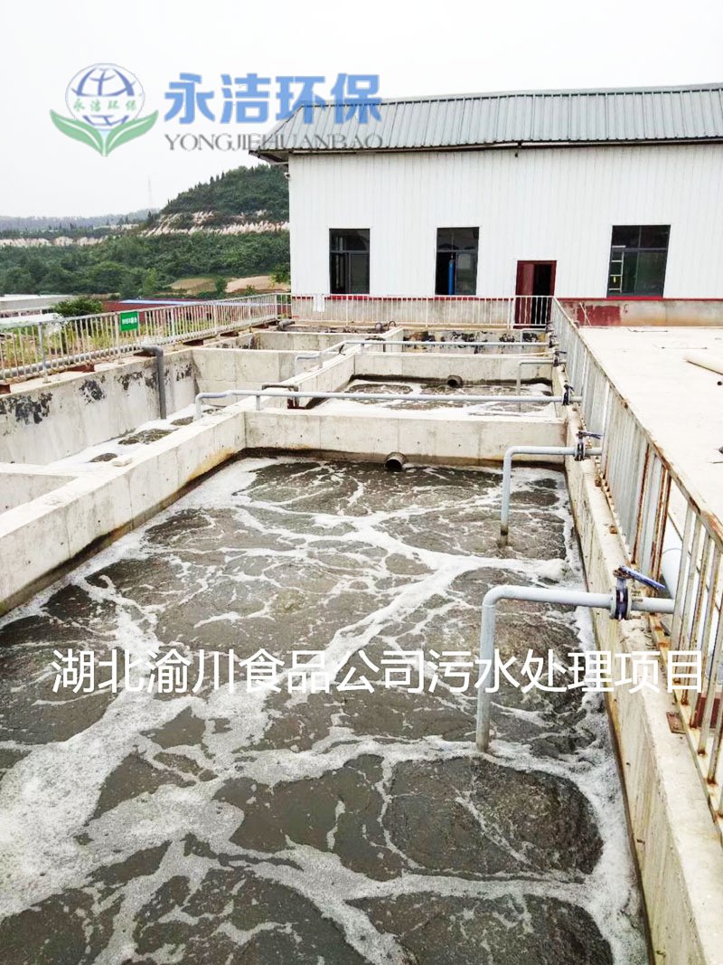 湖北渝川泡菜废水必一（中国）